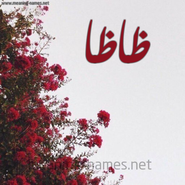 شكل 18 صوره الورد الأحمر للإسم بخط رقعة صورة اسم ظاظا Zaza