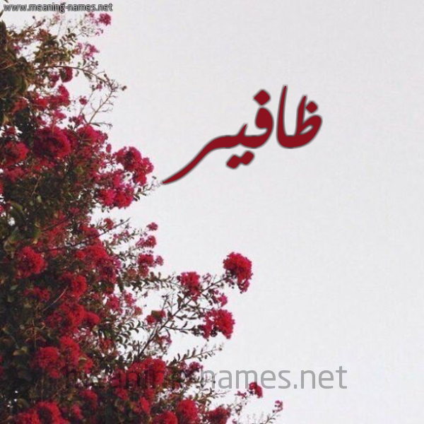 شكل 18 صوره الورد الأحمر للإسم بخط رقعة صورة اسم ظافير Dhafer