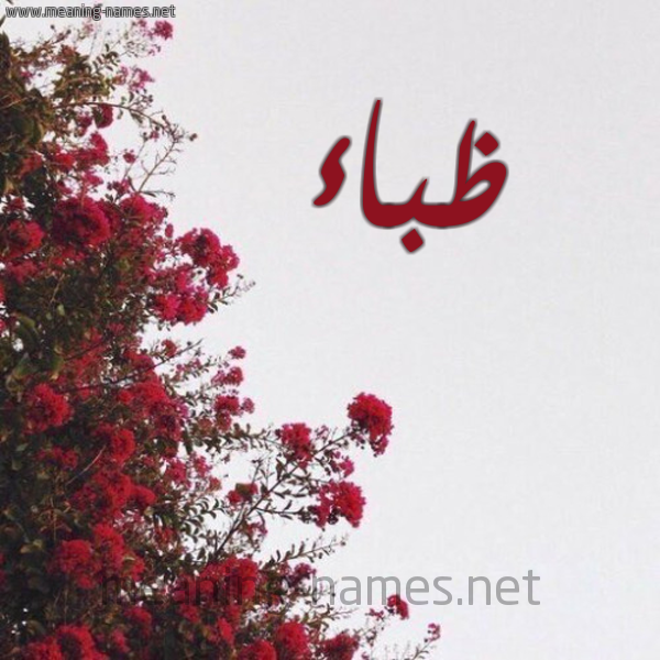 شكل 18 صوره الورد الأحمر للإسم بخط رقعة صورة اسم ظباء ZBAA