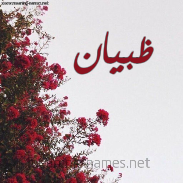 شكل 18 صوره الورد الأحمر للإسم بخط رقعة صورة اسم ظبيان ZBIAN