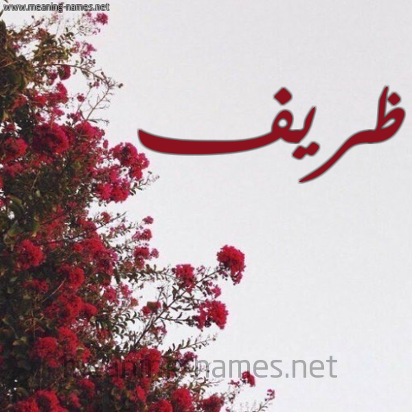 شكل 18 صوره الورد الأحمر للإسم بخط رقعة صورة اسم ظريف Zryf