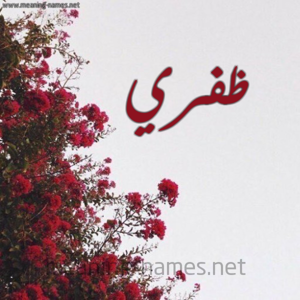 شكل 18 صوره الورد الأحمر للإسم بخط رقعة صورة اسم ظفري Zfry