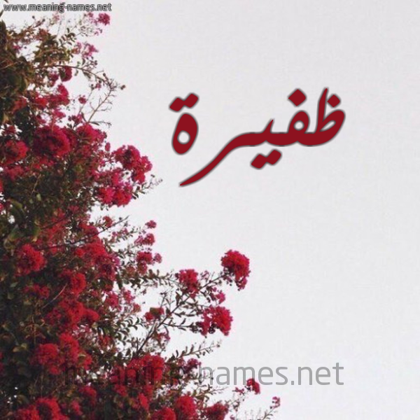 شكل 18 صوره الورد الأحمر للإسم بخط رقعة صورة اسم ظفيرة ZFIRH