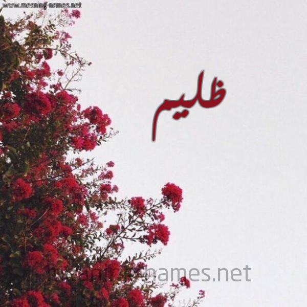 شكل 18 صوره الورد الأحمر للإسم بخط رقعة صورة اسم ظليم Zlym