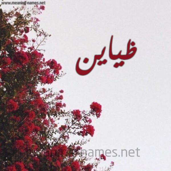 شكل 18 صوره الورد الأحمر للإسم بخط رقعة صورة اسم ظياين Zayn