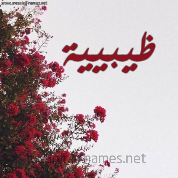 شكل 18 صوره الورد الأحمر للإسم بخط رقعة صورة اسم ظيبيية Zabia