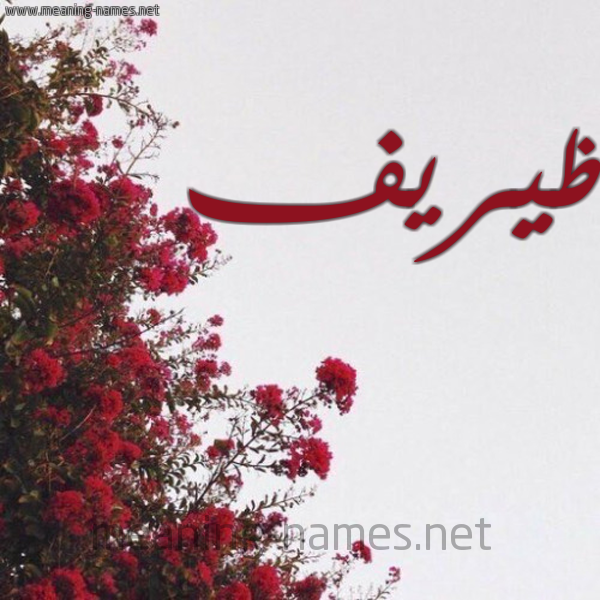 شكل 18 صوره الورد الأحمر للإسم بخط رقعة صورة اسم ظيريف Zareef