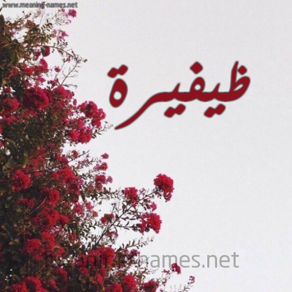 شكل 18 صوره الورد الأحمر للإسم بخط رقعة صورة اسم ظيفيرة Thafirah