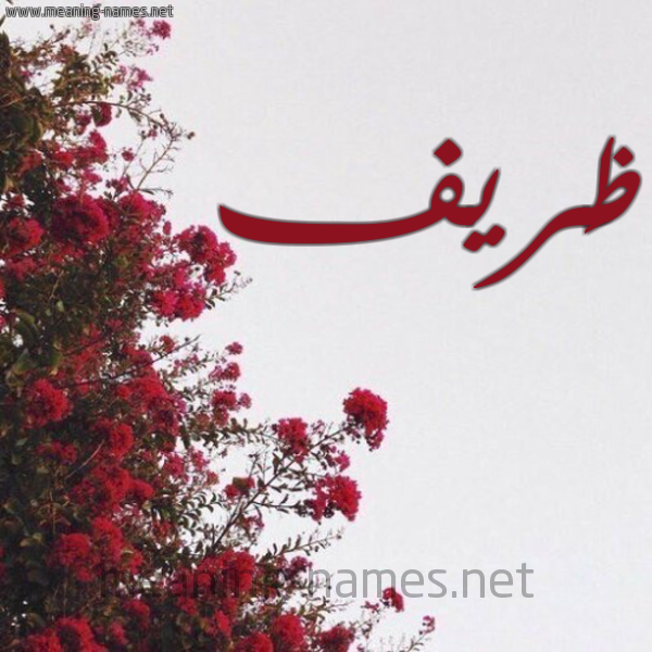 شكل 18 صوره الورد الأحمر للإسم بخط رقعة صورة اسم ظَريف ZARIF