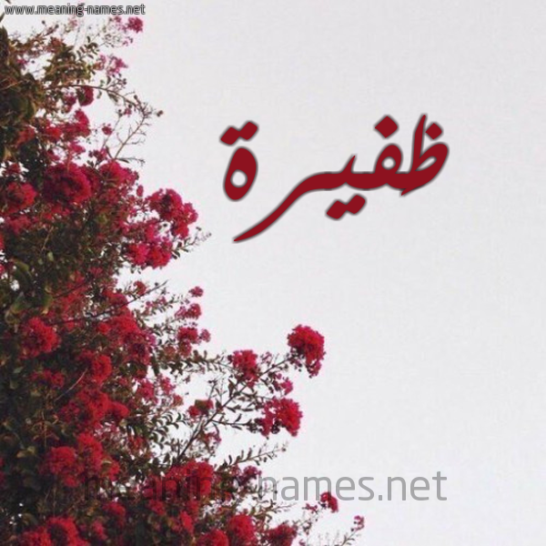 شكل 18 صوره الورد الأحمر للإسم بخط رقعة صورة اسم ظَفيرة ZAFIRH