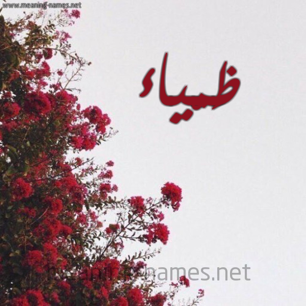 شكل 18 صوره الورد الأحمر للإسم بخط رقعة صورة اسم ظَمْياء ZAMIAA