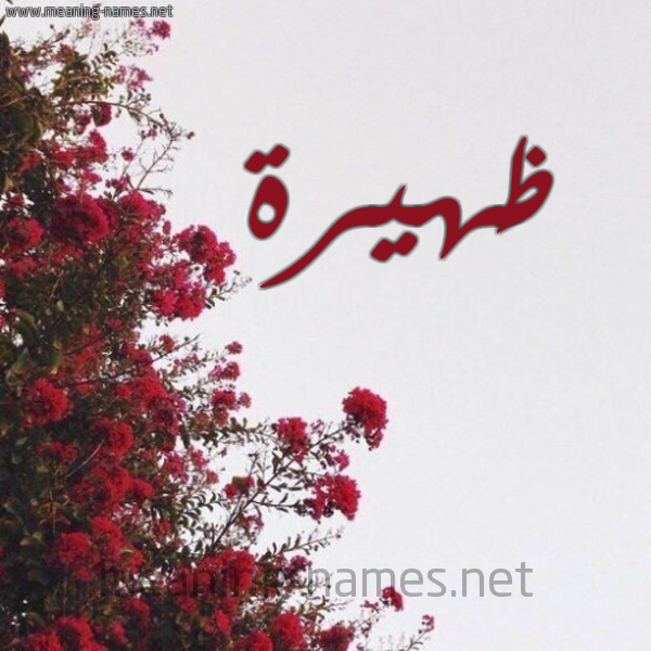 شكل 18 صوره الورد الأحمر للإسم بخط رقعة صورة اسم ظَهيرة ZAHIRH