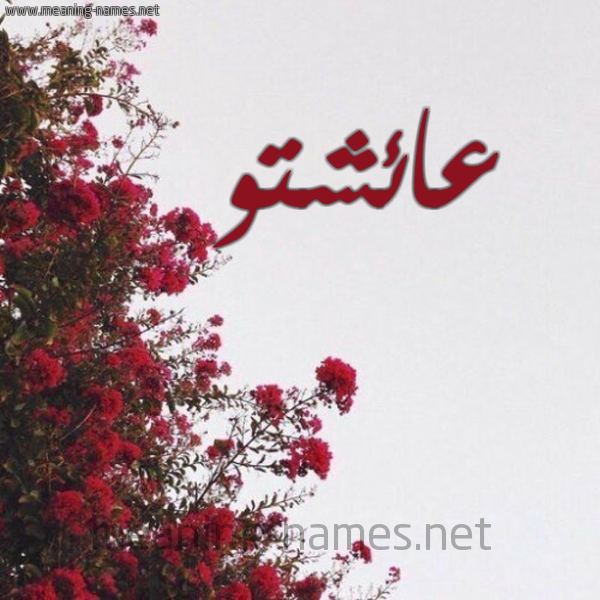 شكل 18 صوره الورد الأحمر للإسم بخط رقعة صورة اسم عائشتو AICHATTOU