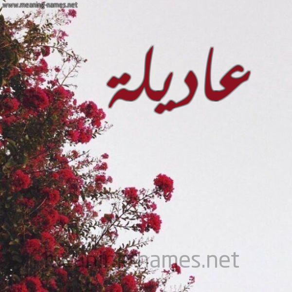 شكل 18 صوره الورد الأحمر للإسم بخط رقعة صورة اسم عاديلة Adila
