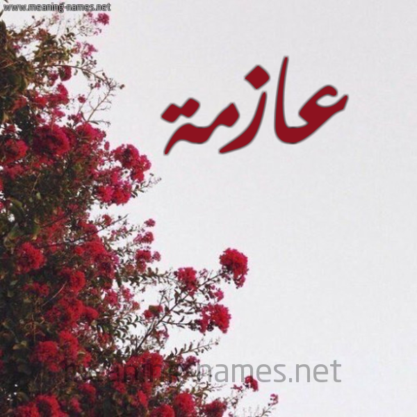 شكل 18 صوره الورد الأحمر للإسم بخط رقعة صورة اسم عازمة Aazmh