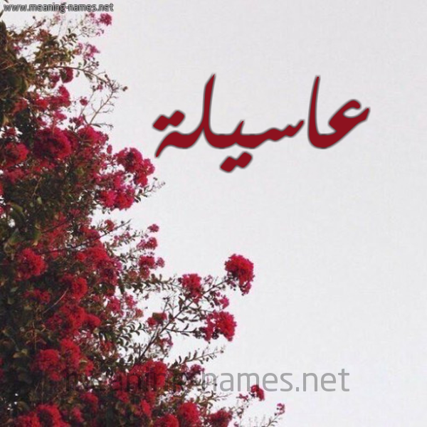 شكل 18 صوره الورد الأحمر للإسم بخط رقعة صورة اسم عاسيلة Asselah