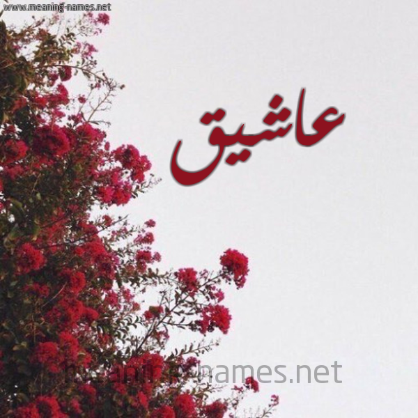 شكل 18 صوره الورد الأحمر للإسم بخط رقعة صورة اسم عاشيق Ashiq