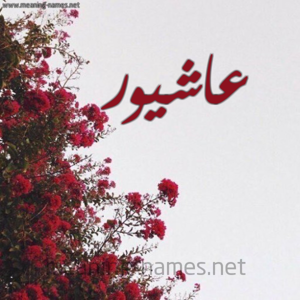 شكل 18 صوره الورد الأحمر للإسم بخط رقعة صورة اسم عاشيور Ashour