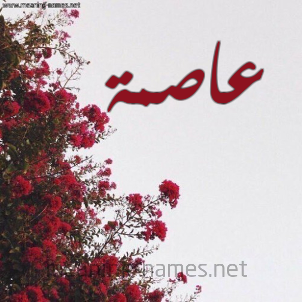 شكل 18 صوره الورد الأحمر للإسم بخط رقعة صورة اسم عاصمة AASMH