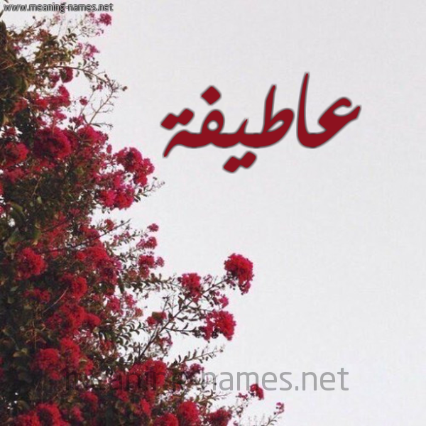 شكل 18 صوره الورد الأحمر للإسم بخط رقعة صورة اسم عاطيفة Atifa
