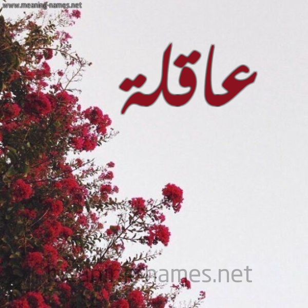 شكل 18 صوره الورد الأحمر للإسم بخط رقعة صورة اسم عاقلة Aaqlh