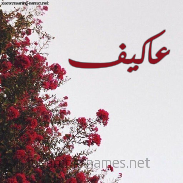 شكل 18 صوره الورد الأحمر للإسم بخط رقعة صورة اسم عاكيف Akif