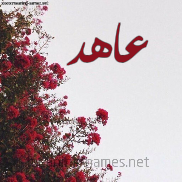 شكل 18 صوره الورد الأحمر للإسم بخط رقعة صورة اسم عاهد Aahd