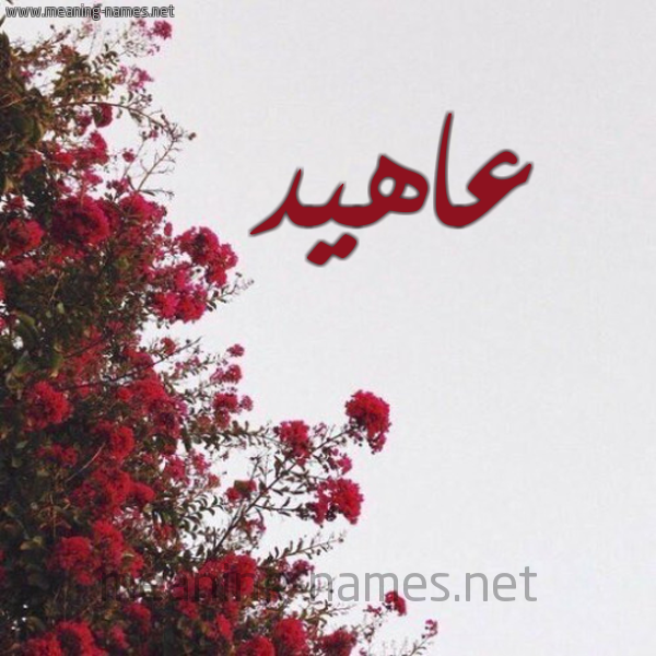شكل 18 صوره الورد الأحمر للإسم بخط رقعة صورة اسم عاهيد Ahed