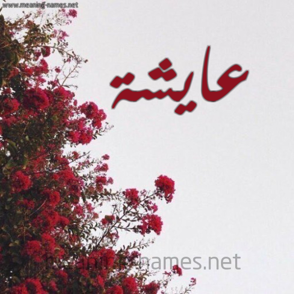 شكل 18 صوره الورد الأحمر للإسم بخط رقعة صورة اسم عايشة AAISHH