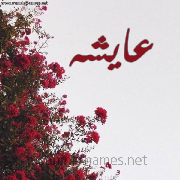 شكل 18 صوره الورد الأحمر للإسم بخط رقعة صورة اسم عايشه aisha