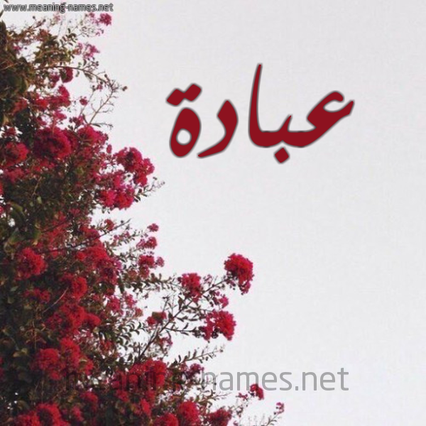 شكل 18 صوره الورد الأحمر للإسم بخط رقعة صورة اسم عبادة Abada