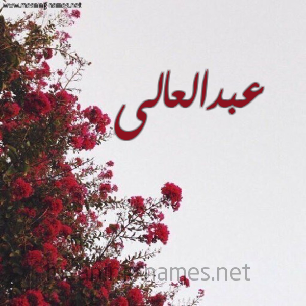 شكل 18 صوره الورد الأحمر للإسم بخط رقعة صورة اسم عبدالعالى abd-elali