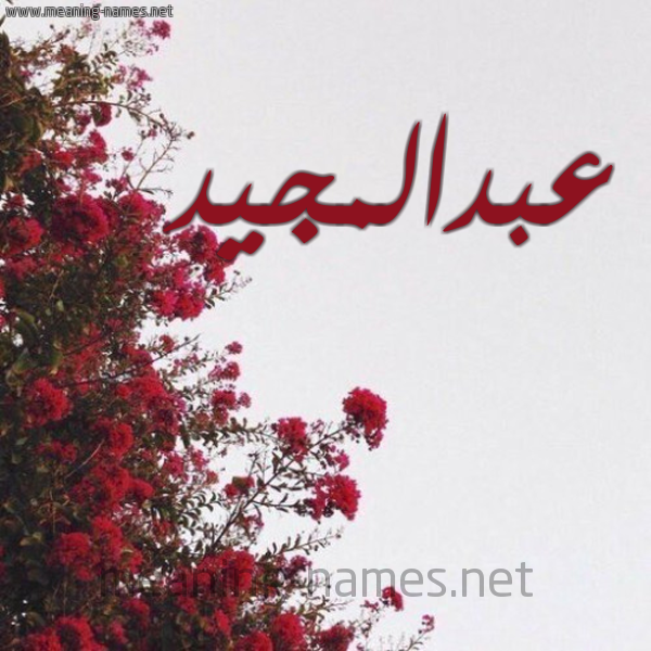 شكل 18 صوره الورد الأحمر للإسم بخط رقعة صورة اسم عبدالمجيد abd-elmajid
