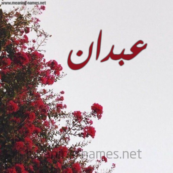 شكل 18 صوره الورد الأحمر للإسم بخط رقعة صورة اسم عبدان ABDAN
