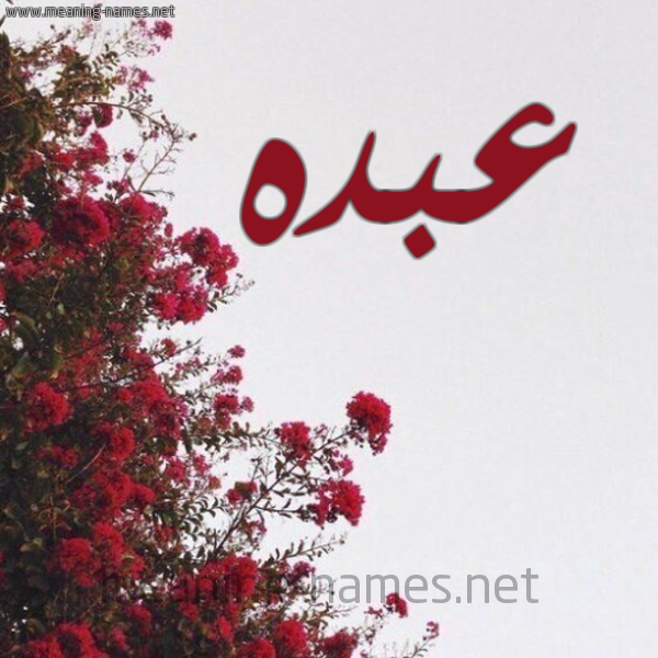 شكل 18 صوره الورد الأحمر للإسم بخط رقعة صورة اسم عبده Abdo