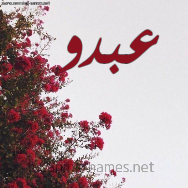شكل 18 صوره الورد الأحمر للإسم بخط رقعة صورة اسم عبدو Abdo