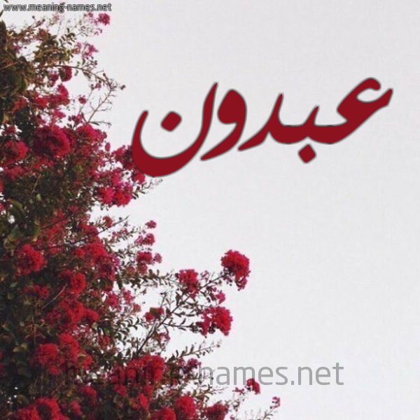 شكل 18 صوره الورد الأحمر للإسم بخط رقعة صورة اسم عبدون ABDON