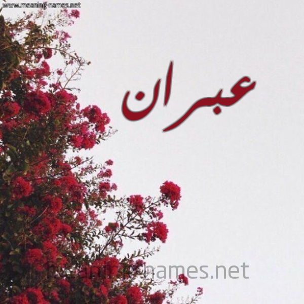 شكل 18 صوره الورد الأحمر للإسم بخط رقعة صورة اسم عبران ABRAN