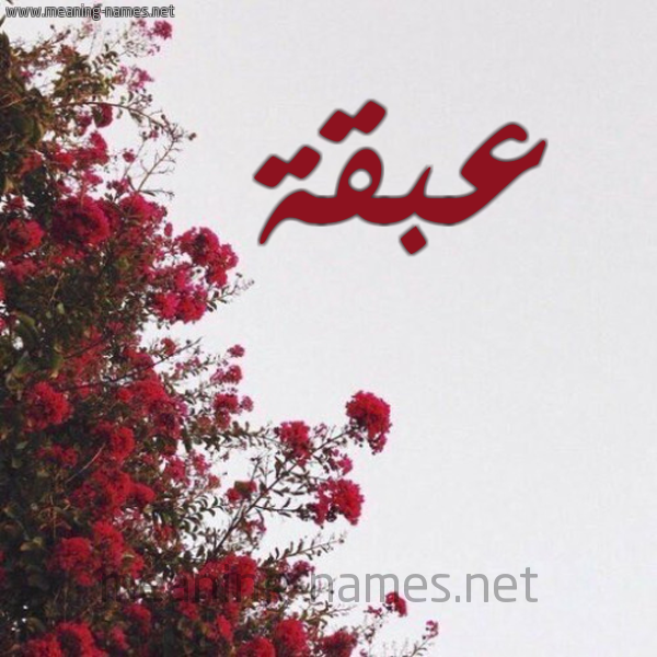 شكل 18 صوره الورد الأحمر للإسم بخط رقعة صورة اسم عبقة Abqh