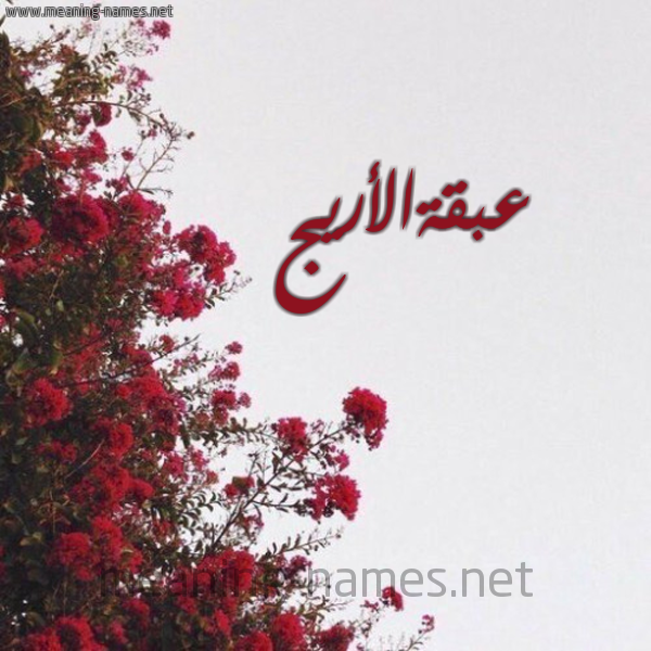 شكل 18 صوره الورد الأحمر للإسم بخط رقعة صورة اسم عبقةالأريج Abqhal'aryj
