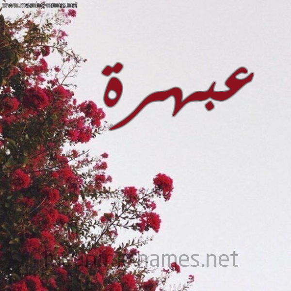 شكل 18 صوره الورد الأحمر للإسم بخط رقعة صورة اسم عبهرة Abhrh