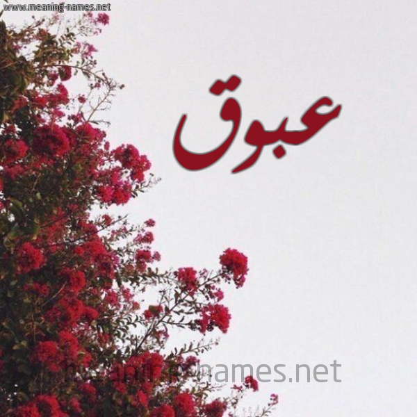 شكل 18 صوره الورد الأحمر للإسم بخط رقعة صورة اسم عبوق Abwq