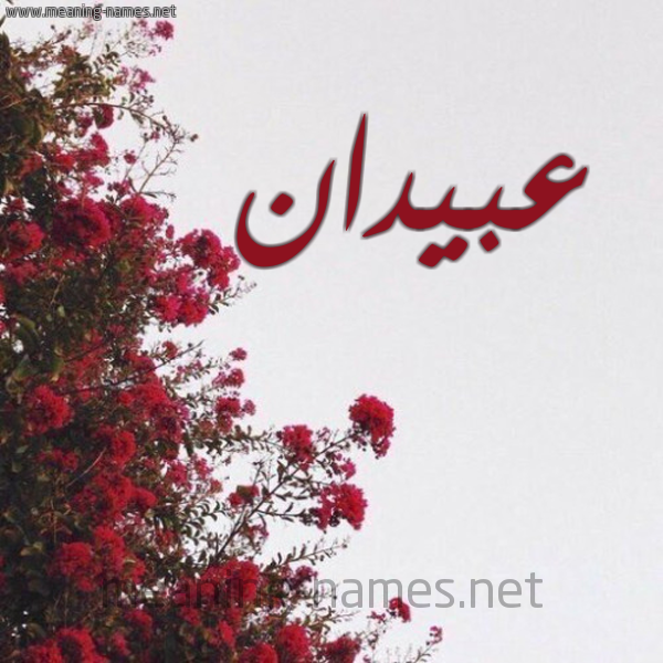 شكل 18 صوره الورد الأحمر للإسم بخط رقعة صورة اسم عبيدان ABIDAN
