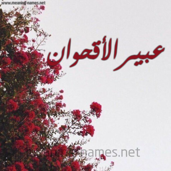 شكل 18 صوره الورد الأحمر للإسم بخط رقعة صورة اسم عبيرالأقحوان Abyral'aqhwan