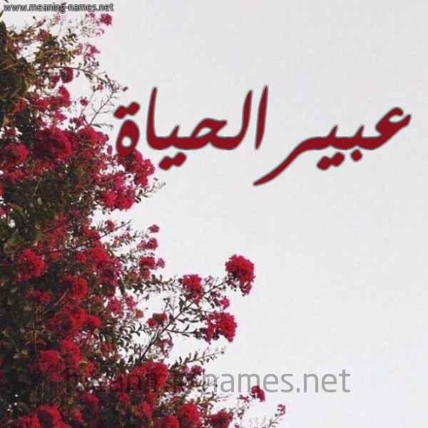 شكل 18 صوره الورد الأحمر للإسم بخط رقعة صورة اسم عبيرالحياة Abyralhyah