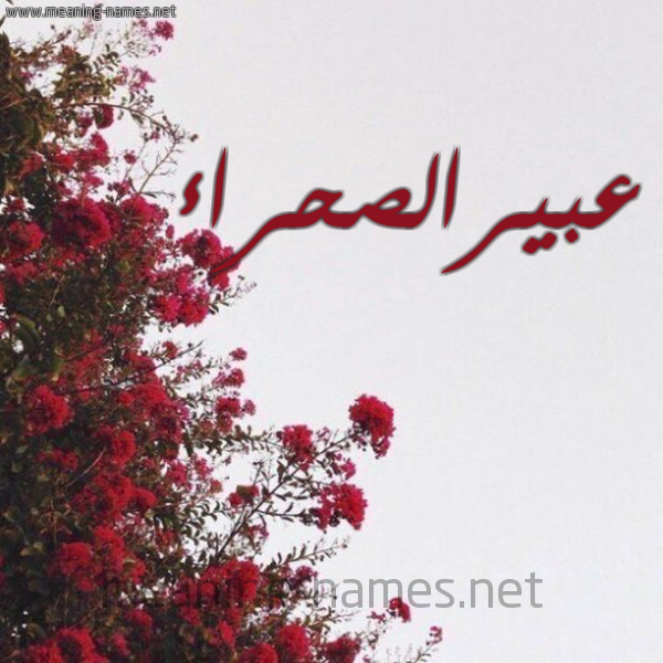 شكل 18 صوره الورد الأحمر للإسم بخط رقعة صورة اسم عبيرالصحراء Abyralshra'a