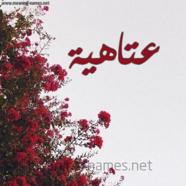 شكل 18 صوره الورد الأحمر للإسم بخط رقعة صورة اسم عتاهية ATAHIH