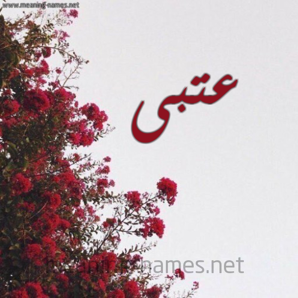 شكل 18 صوره الورد الأحمر للإسم بخط رقعة صورة اسم عتبى عُتبى-Atba