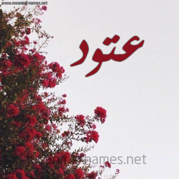 شكل 18 صوره الورد الأحمر للإسم بخط رقعة صورة اسم عتود Atwd