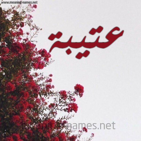 شكل 18 صوره الورد الأحمر للإسم بخط رقعة صورة اسم عتيبة Atibh